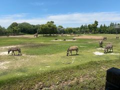 -宁波野生动物园