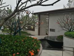 -仙湖旅游度假区