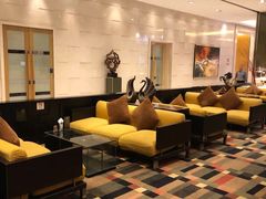 -上海大宁福朋喜来登酒店大堂吧(共和新路店)