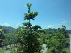 -河源万绿湖美思威尔顿酒店