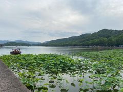 -西湖游船