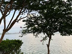 -阳澄湖半岛旅游度假区