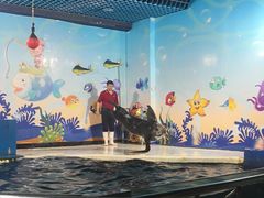 -太平洋海底世界