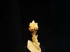 -南京博物院