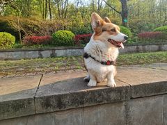 -重庆彩云湖湿地公园