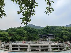 -白马涧龙池景区