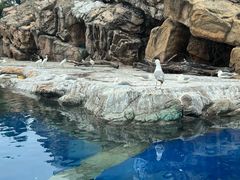 -珠海长隆海洋王国