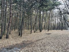 -帽儿山国家森林公园