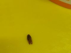 -津品味小吃(大学湾店)