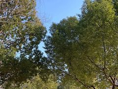 -合肥三国新城遗址公园