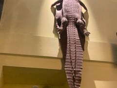 -旅马餐厅(茅家埠店)