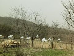 -金石滩蓝莓谷庄园