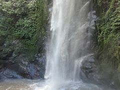 -莫里热带雨林景区
