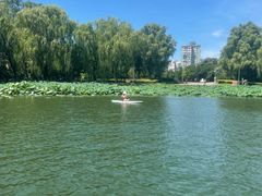 -WhaleSports户外水上运动俱乐部(朝阳公园店)