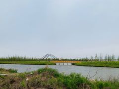 -春花秋色城市公园