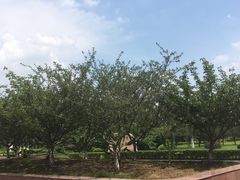 -南京信息职业技术学院