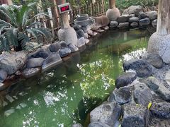 -张家港金凤凰度假村温泉