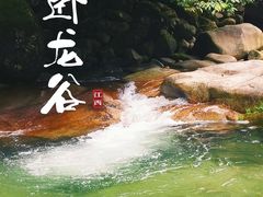 -大鄣山卧龙谷景区