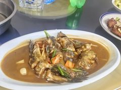 -芦茨金富饭庄·25年老字号·专做稻草鸡