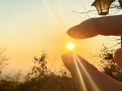 -杭州半山国家森林公园