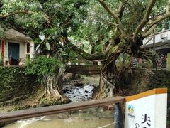-偏岩古镇