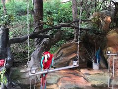 -燕塞湖鸟语林景区