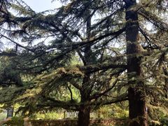 -北京植物园南门售票处