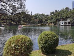 -晓港公园