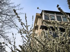 -龙湖星悦荟(颐和店)