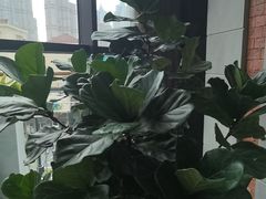-浅深Cheersum(曹杨店)