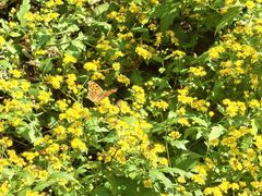 -四里河滨水生态公园