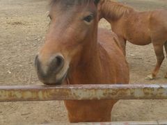 android_upload_pic-西安秦岭野生动物园