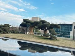 -阿纳迪酒店·秘境西餐厅