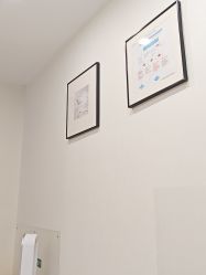 -智美品质医美