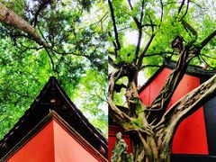 -成都武侯祠博物馆