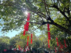 -广州市白云山风景名胜区