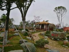 -东莞植物园