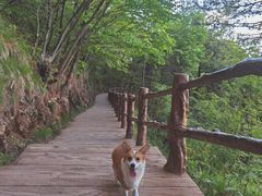 -塔云山