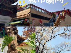 -翠湖公园