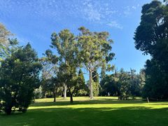-墨尔本皇家植物园