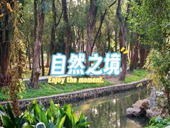 -东湖落雁景区