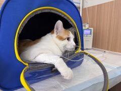-达爱动物医院·犬猫分区·CT·复杂眼科(远洋山水分院)