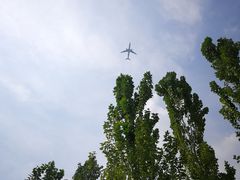 -东郊湿地公园