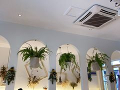 -春树下·树屋花房西餐厅(罍街AS1980店)