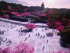 -广州融创文旅城