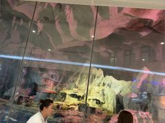 -帝企鹅自助餐厅•儿童岛•真企鹅(长隆企鹅酒店)