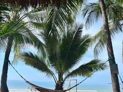 -三亚海棠湾万丽度假酒店