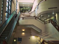 -香港大学