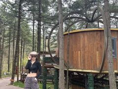 -洛阳白云山景区