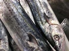-中国舟山国际水产城